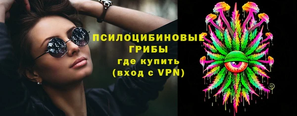 крисы Алзамай