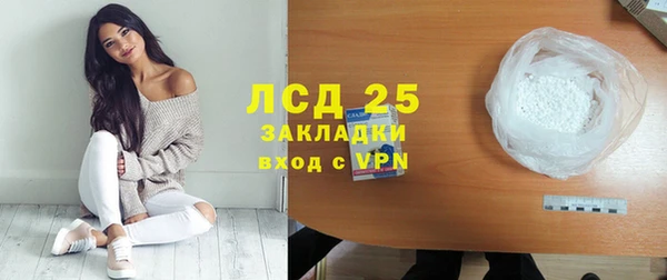 крисы Алзамай