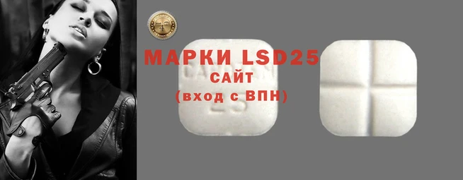 шишки Алексин