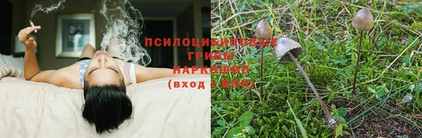 каннабис Алексеевка