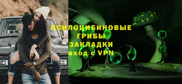 крисы Алзамай