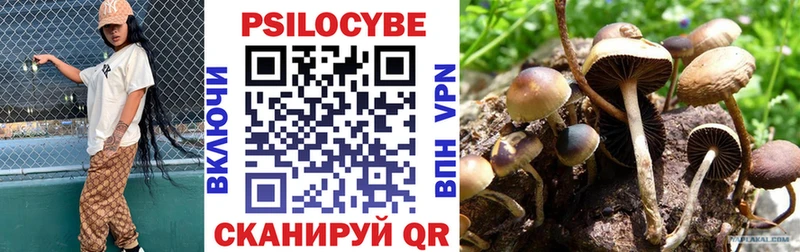 закладки  Серов  Псилоцибиновые грибы MAGIC MUSHROOMS 