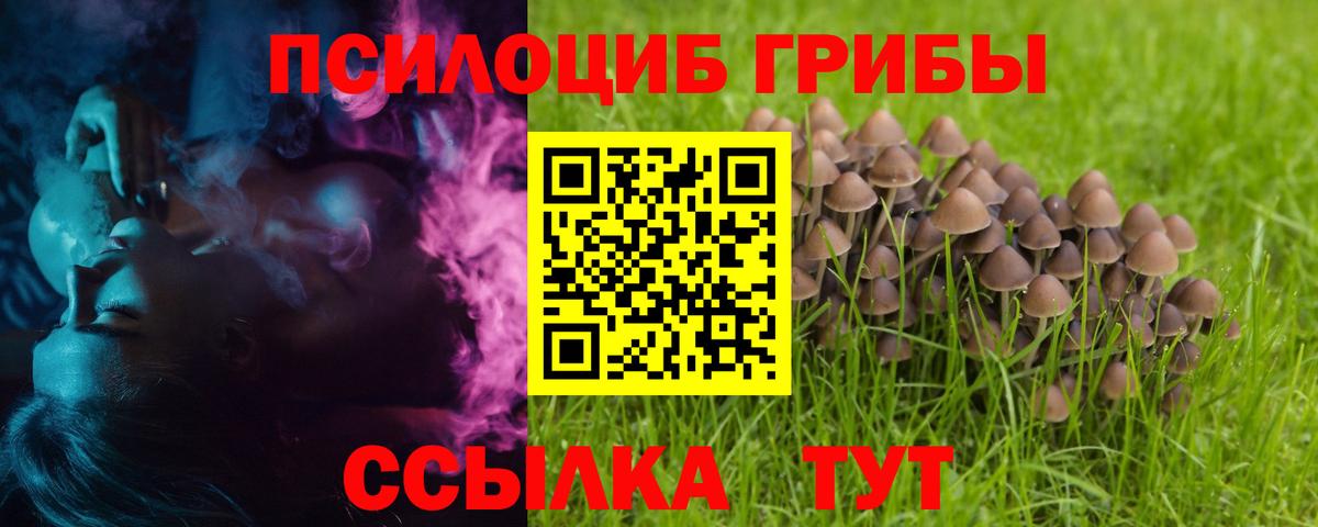 Псилоцибиновые грибы GOLDEN TEACHER Серов